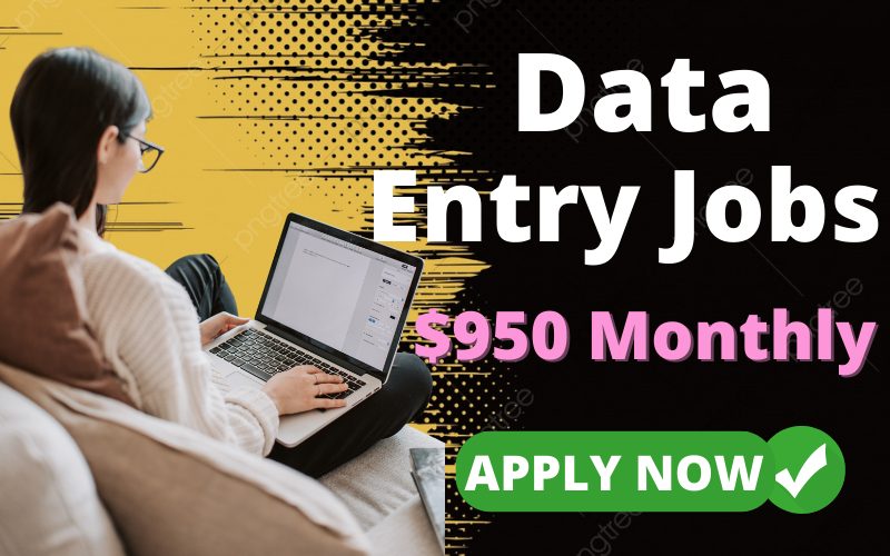 Data Entry Jobs For Beginners - Work At Home And Earn $950 Monthly